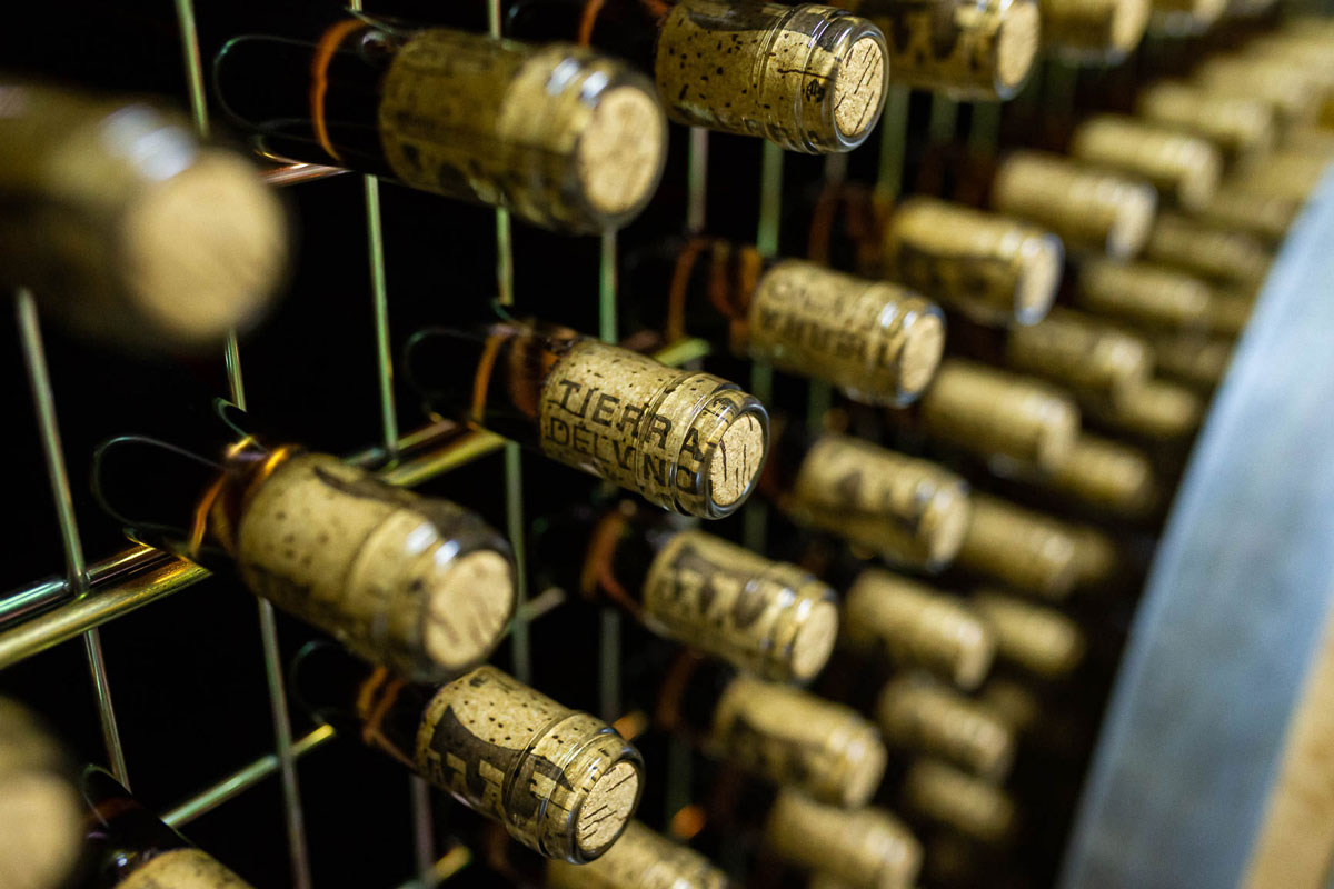 Viñedos y cultura del vino de Zamora