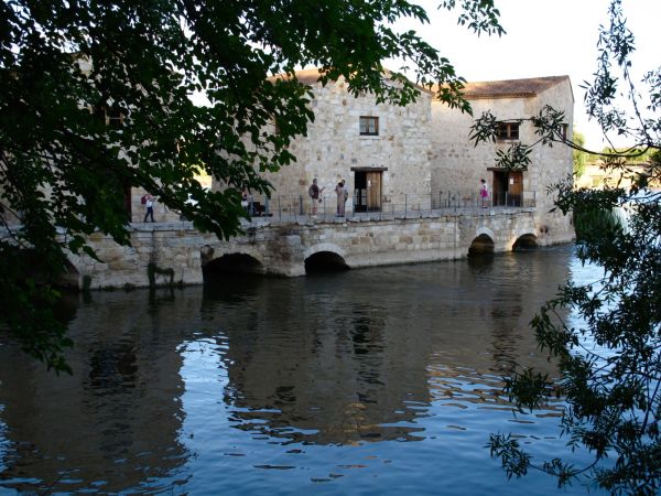 Aceñas de Olivares