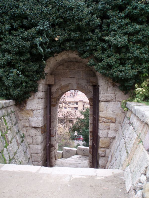 Portillo de la lealtad