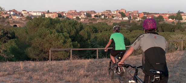 Bicicletas