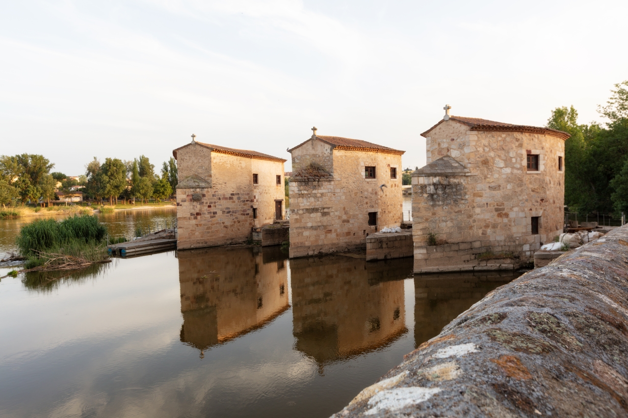 Aceñas de Zamora