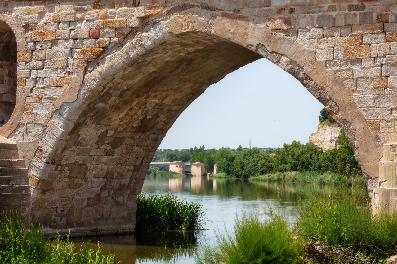 Aceñas de Zamora