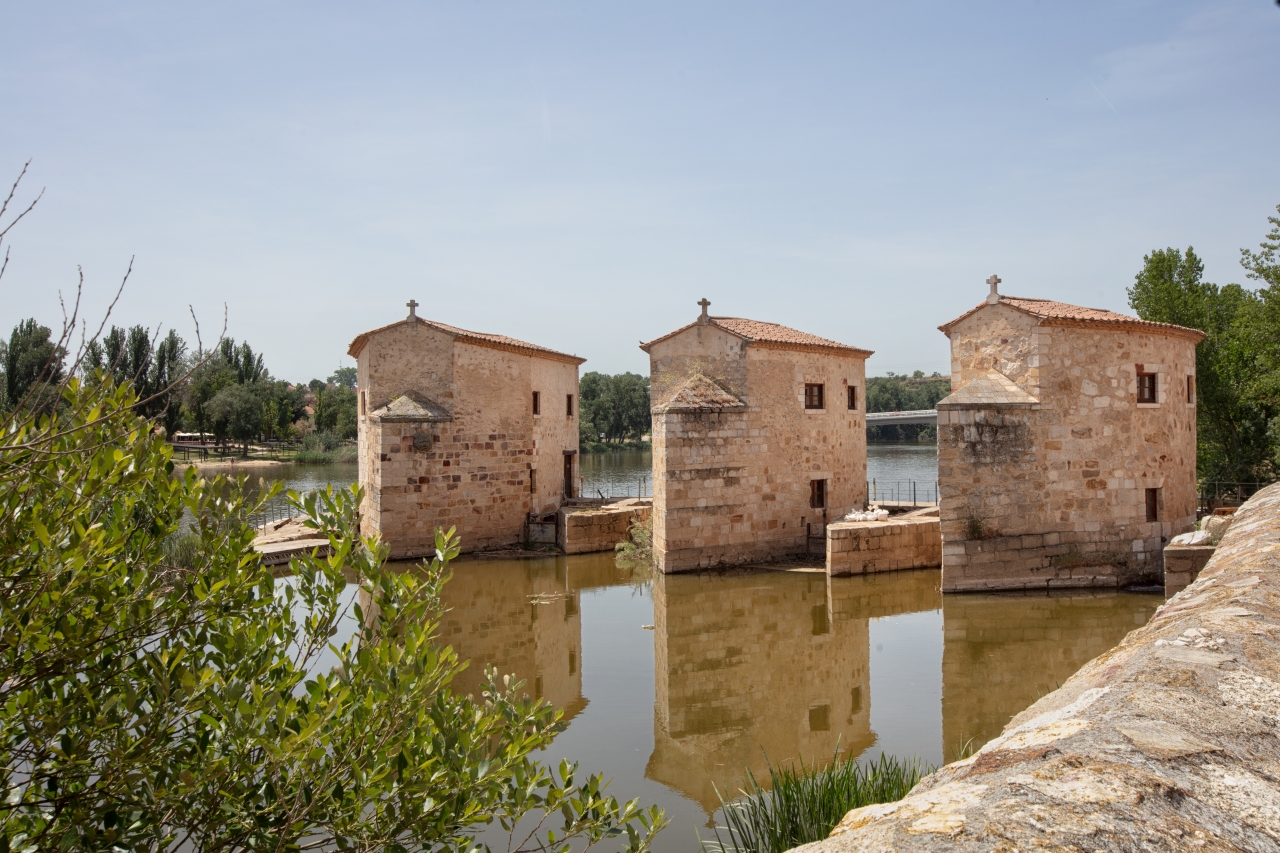 Aceñas de Zamora