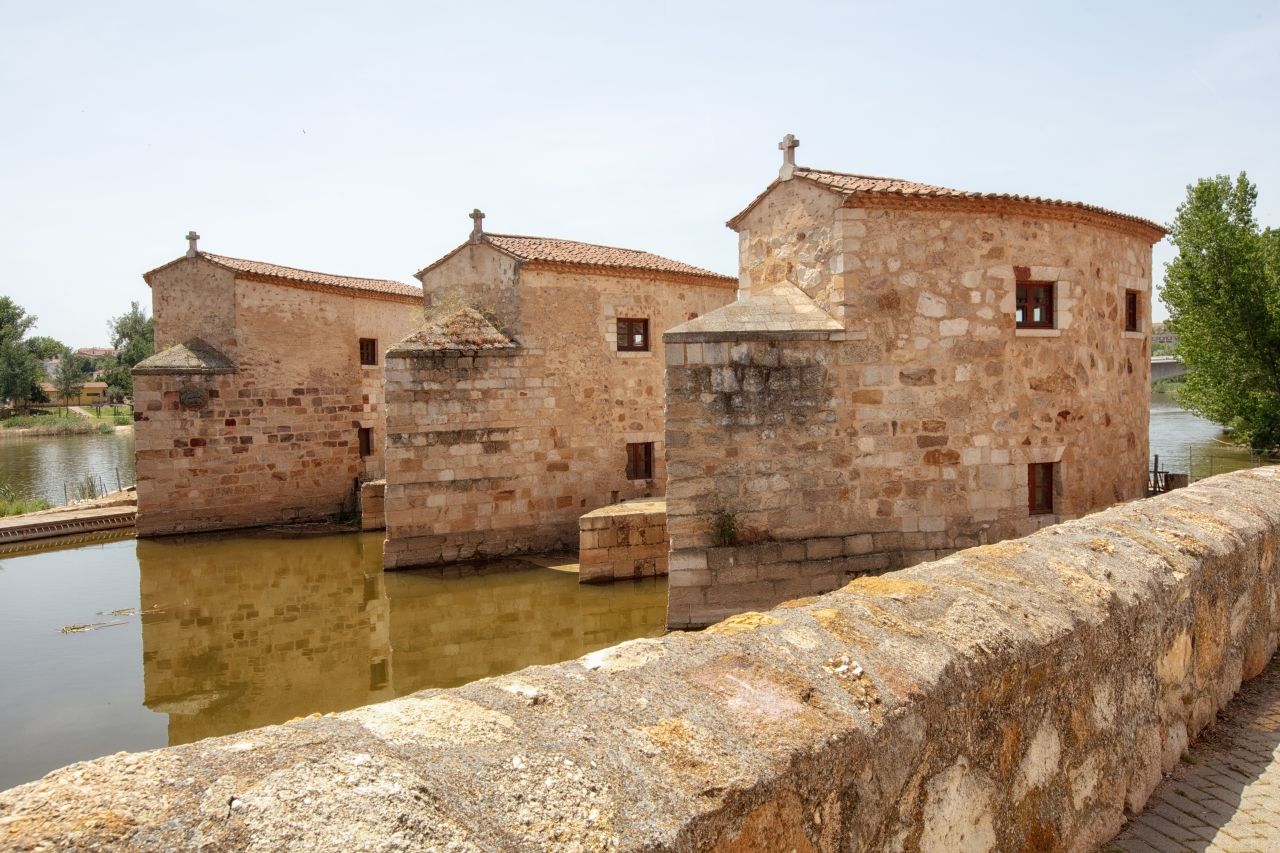 Aceñas de Zamora
