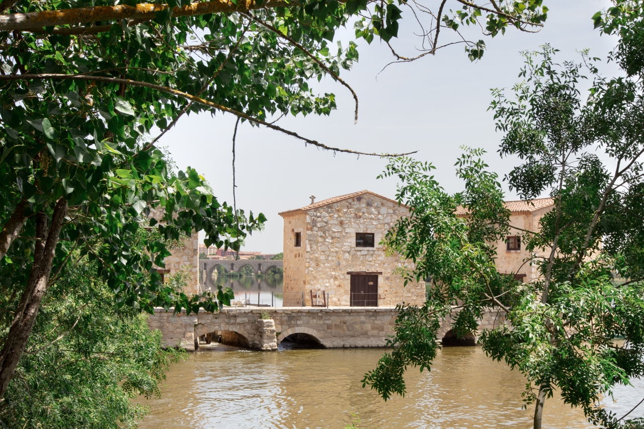 Aceñas de Zamora