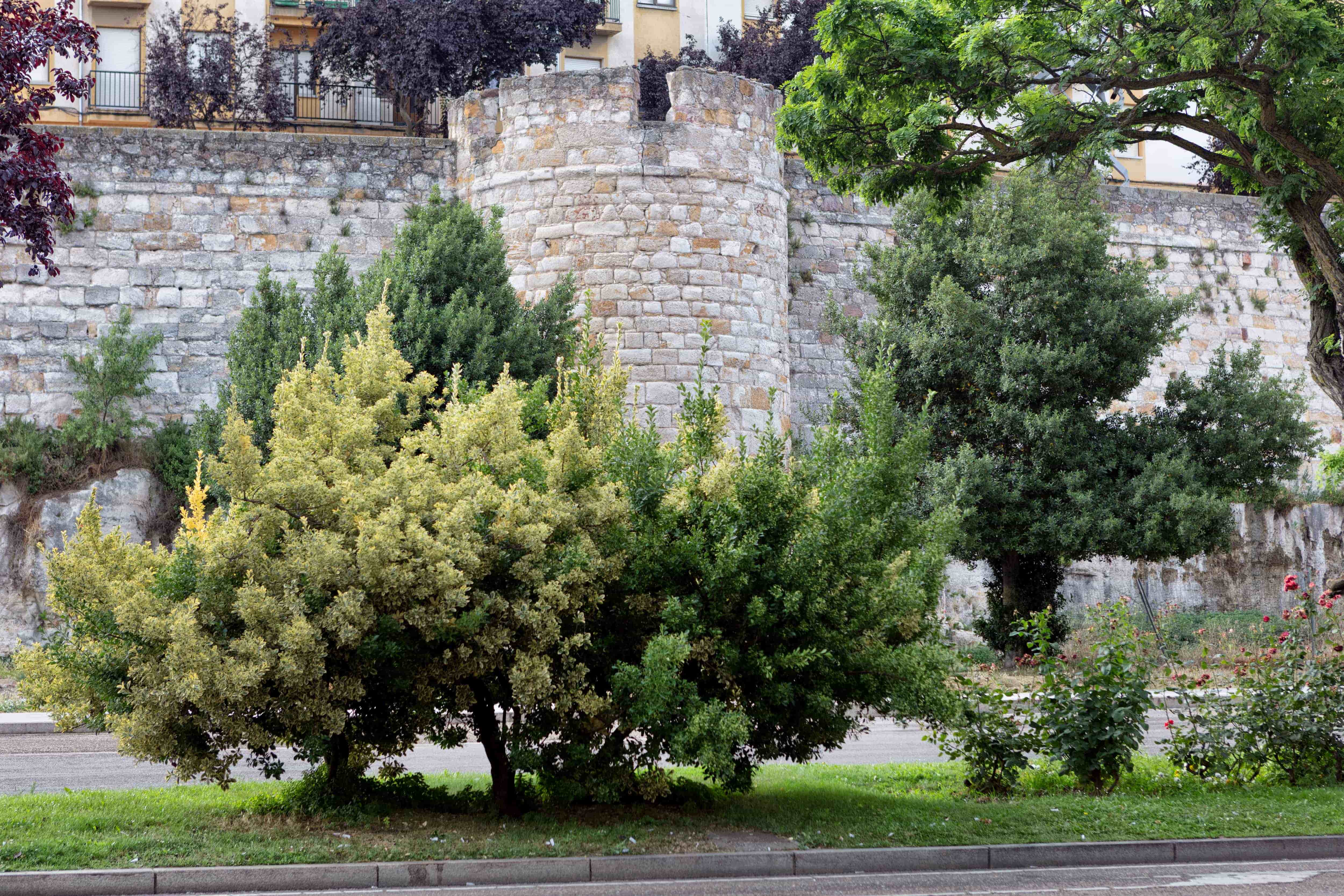 Murallas de Zamora