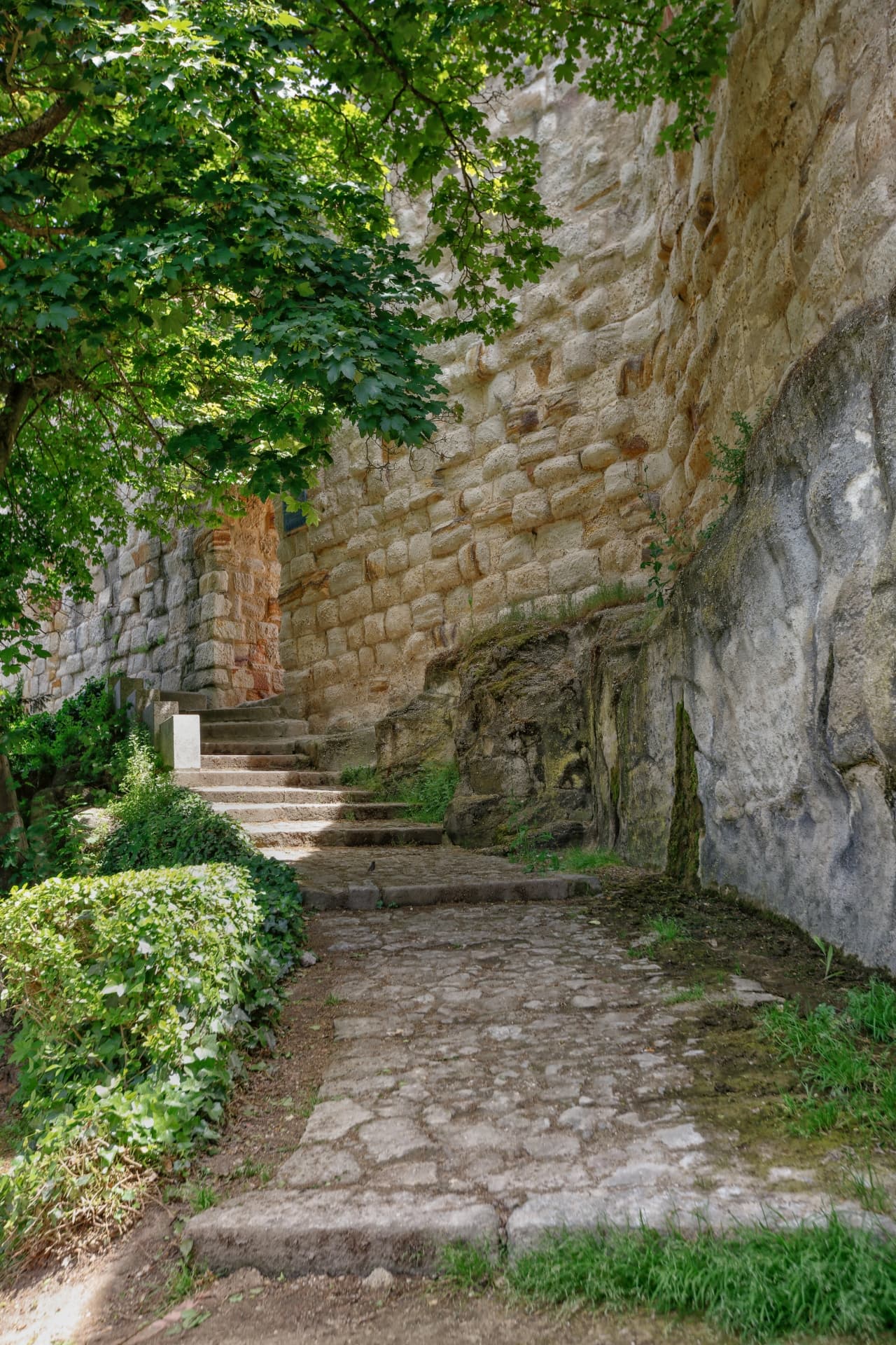 Portillo de la lealtad