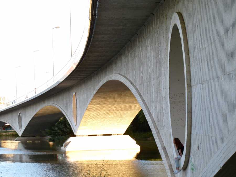 La ciudad de Zamora, imagen 13