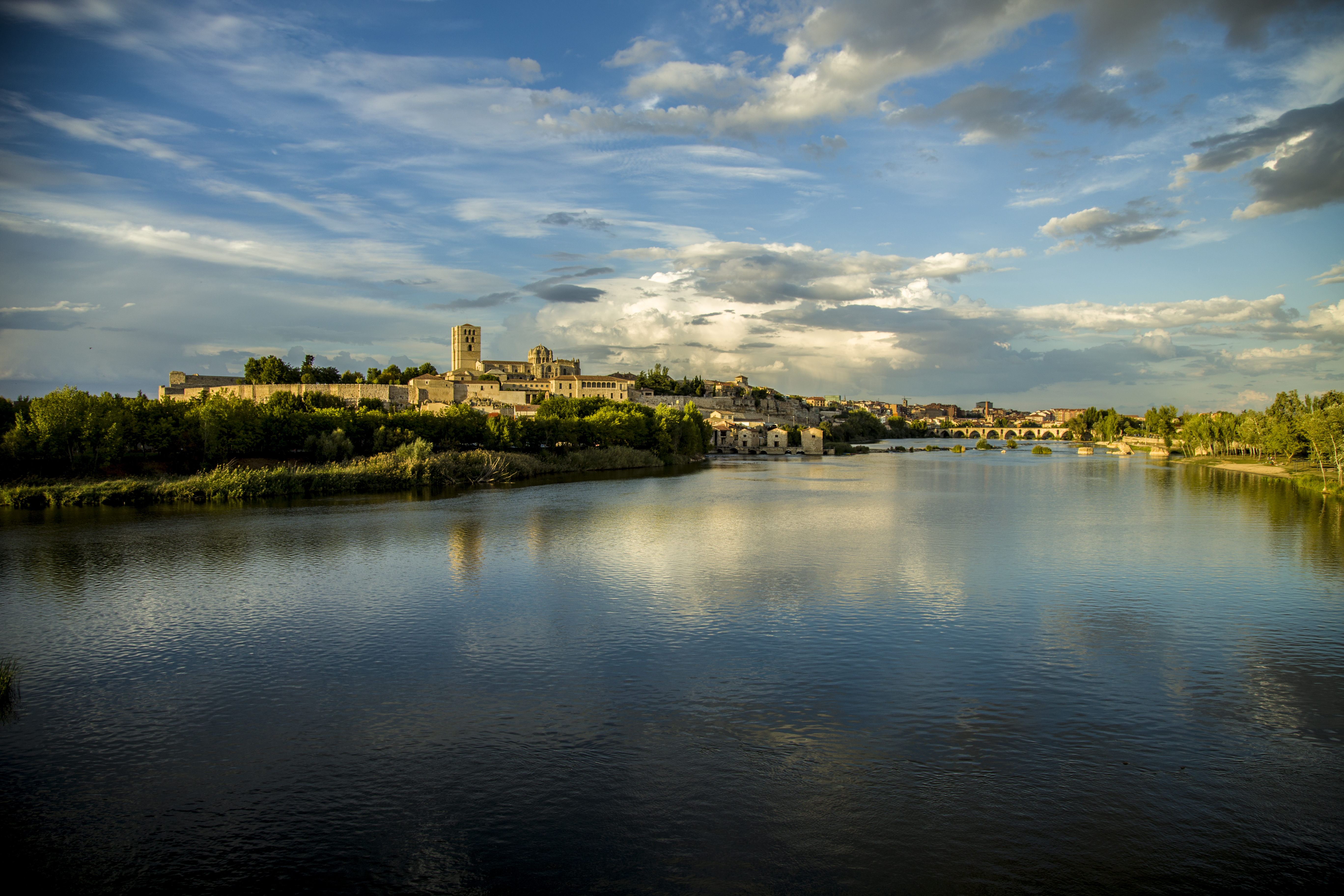Castillo de Zamora 