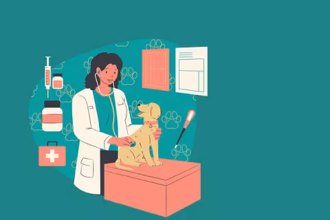 Clínica Veterinaria Servet