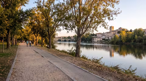 Un paseo por el río